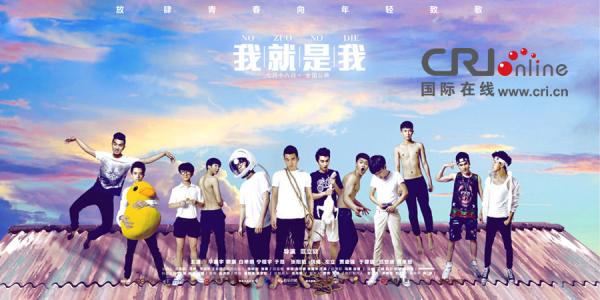 作假茨城县立医疗大学毕业证
